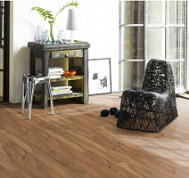 Parador Basic Plus 200 1426416 Грецкий Орех фото 2 | FLOORDEALER